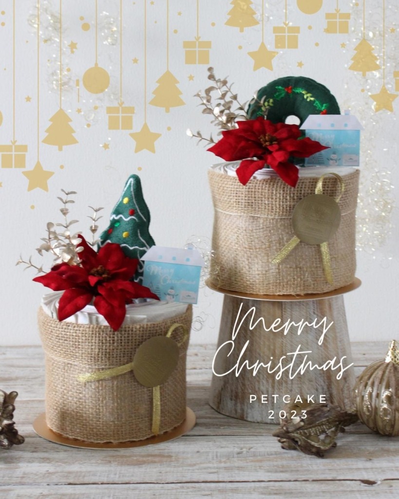 plavaruza_christmas2023_32
